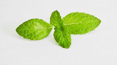 garnishing-instructions-image